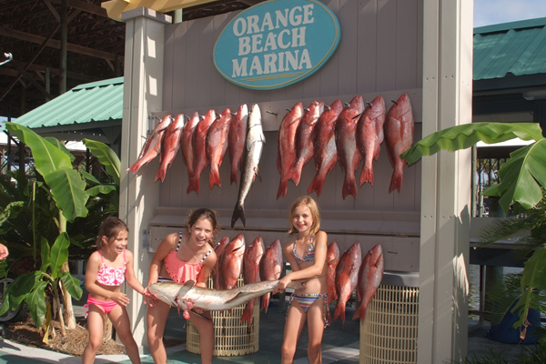 Orange Beach Marina