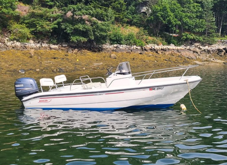 Buck's Harbor Marina