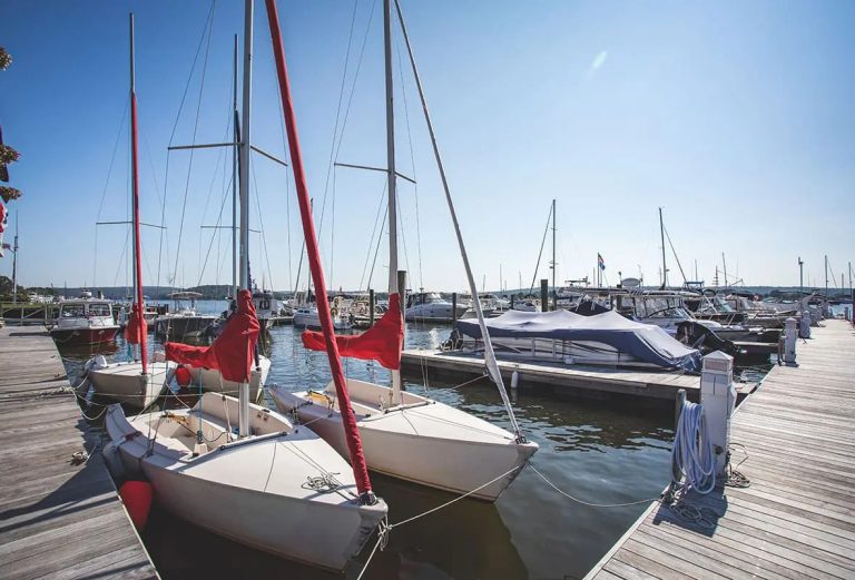 Safe Harbor Dauntless