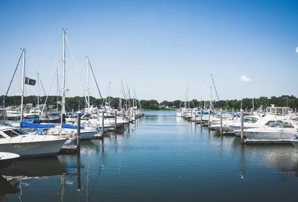 Safe Harbor Cowesett