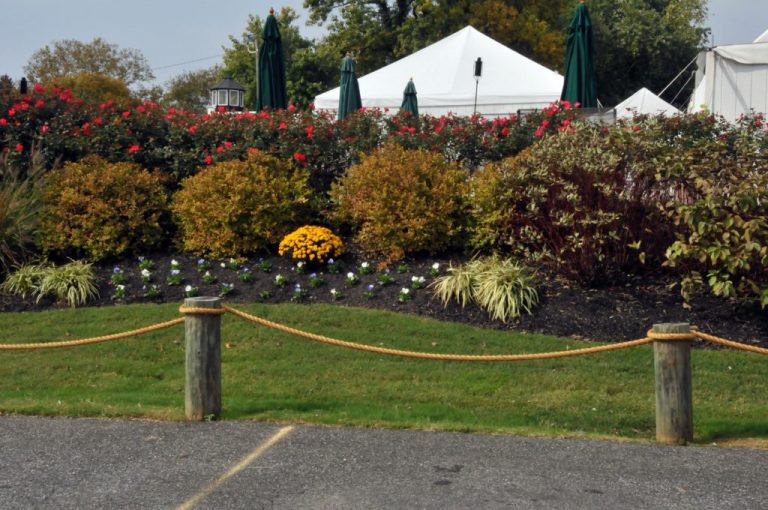 Wellwood Yacht Club Marina