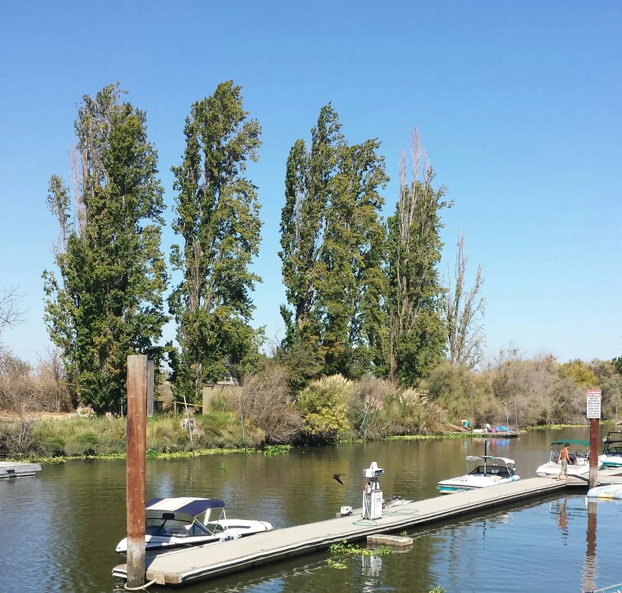 Tracy Oasis Marina Resort