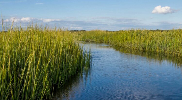 The Marina At Edisto Beach