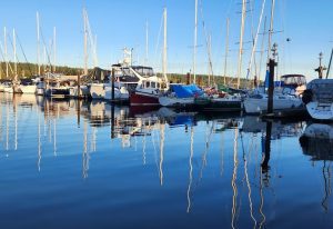Oyster Bay Marina At Ladysmith Harbour