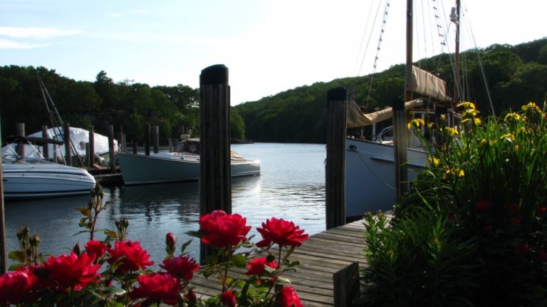 Cove Landing Marine