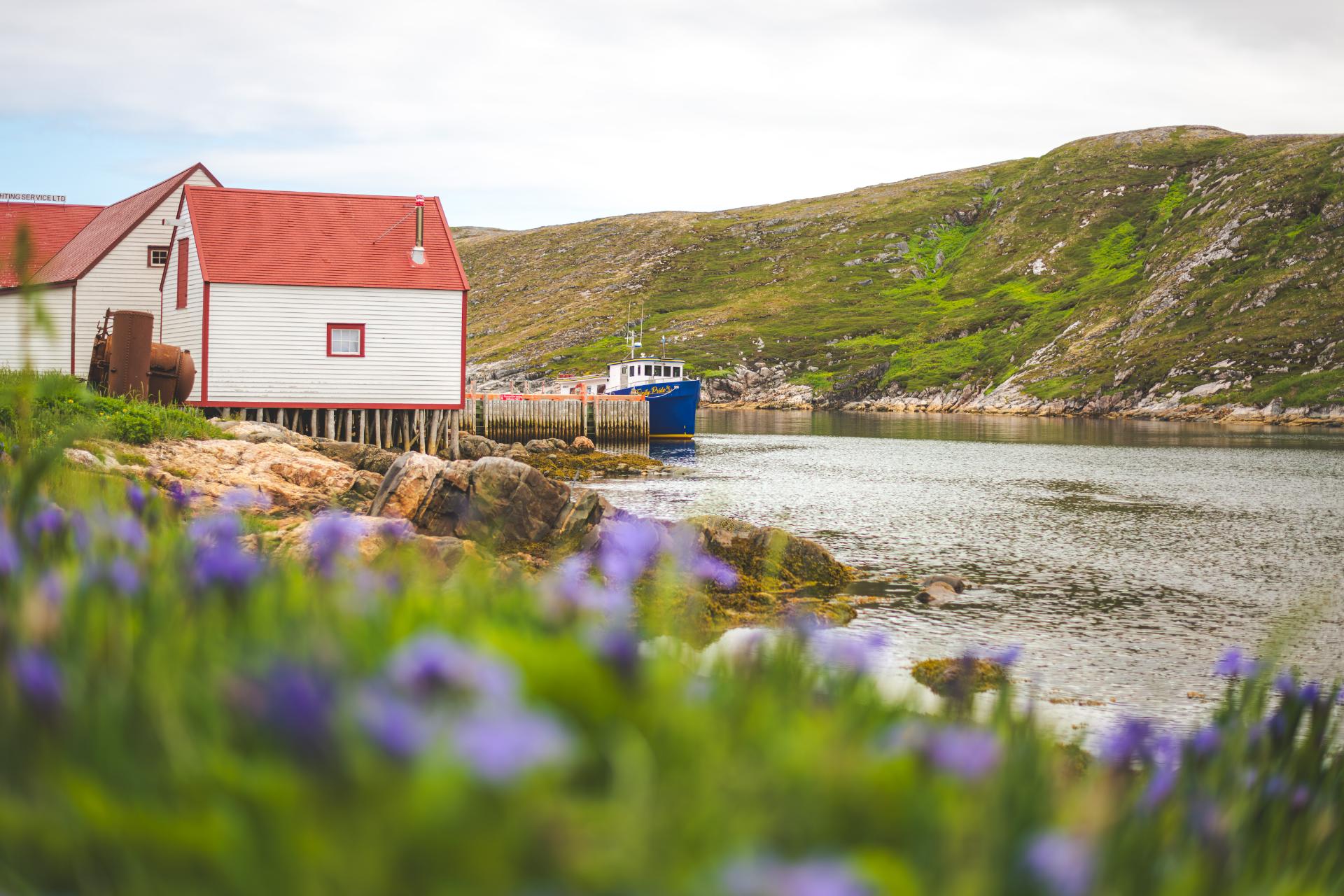 Battle Harbour