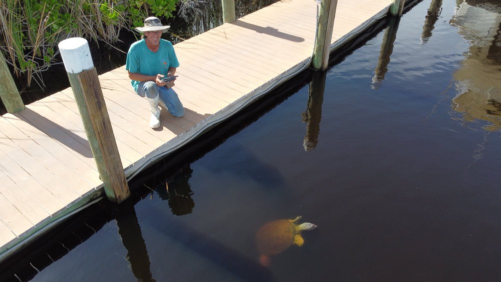 Safe Cove Boat Storage And Marina
