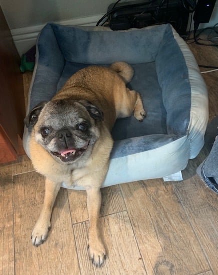 Safe Cove Boat Storage And Marina