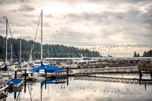 Arabella's Landing