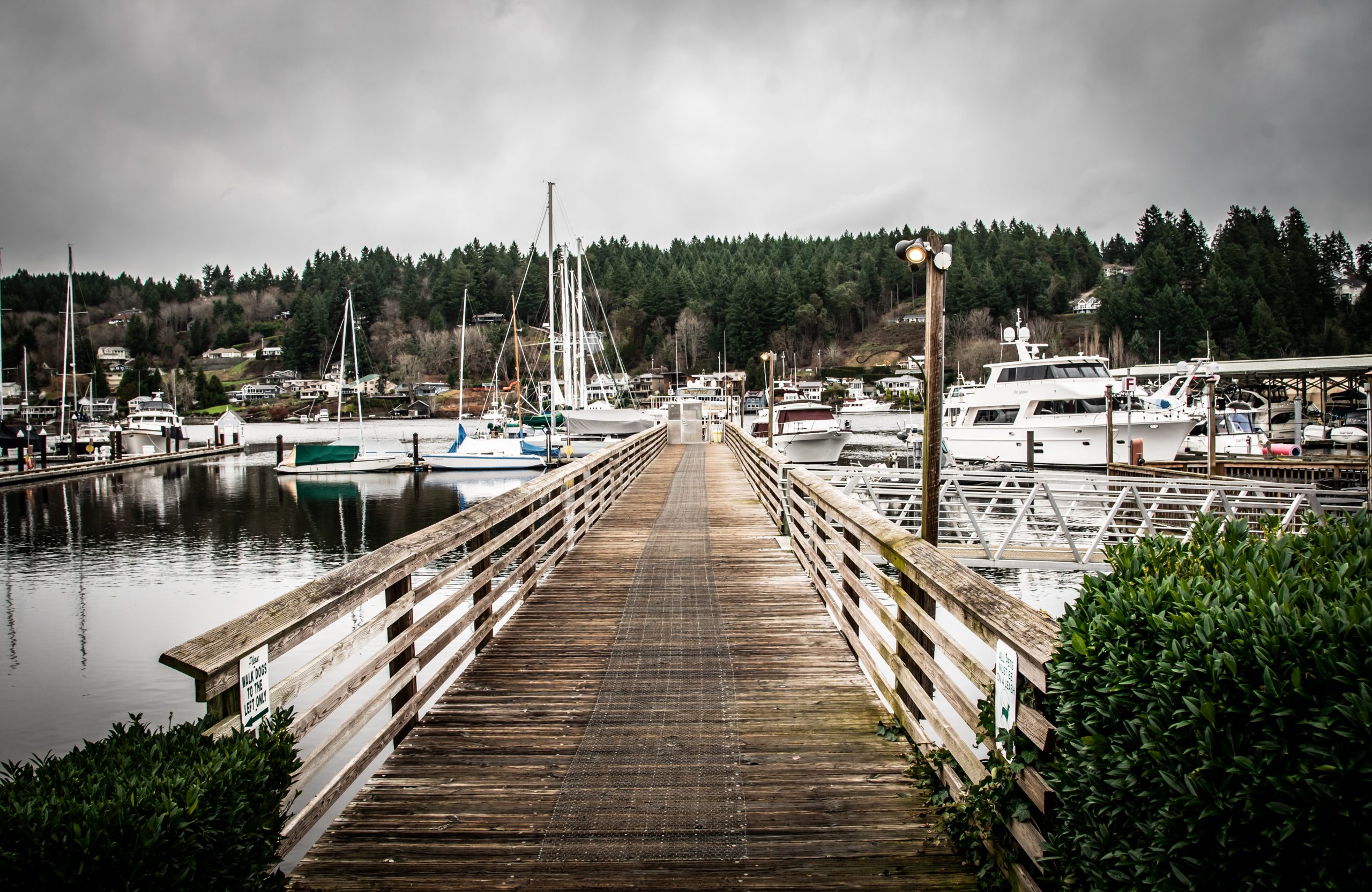 Arabella's Landing