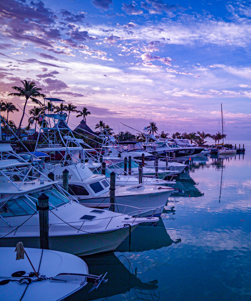 Caloosa Cove Marina And Resort