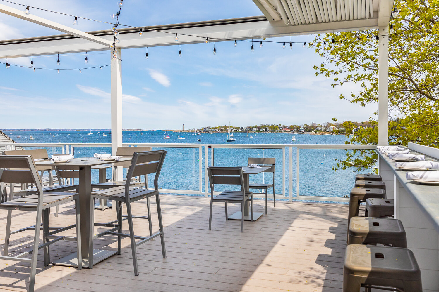Dolphin Yacht Club