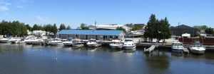 Seagull Marina