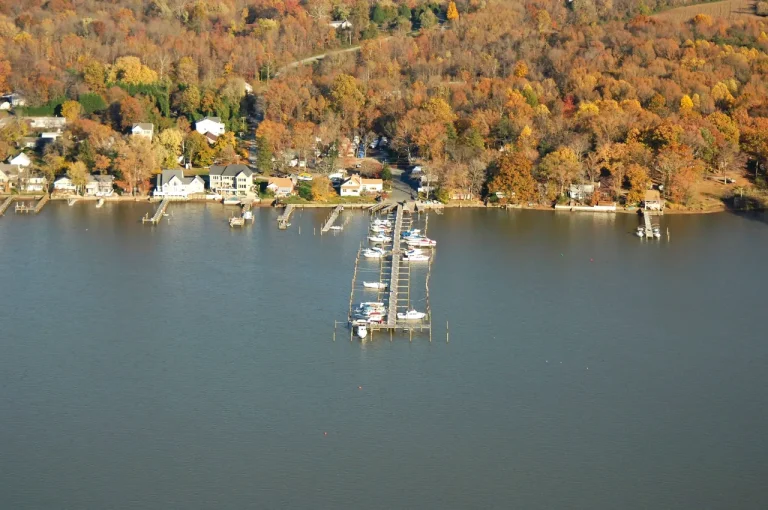 Dolphin Marina At The Cove