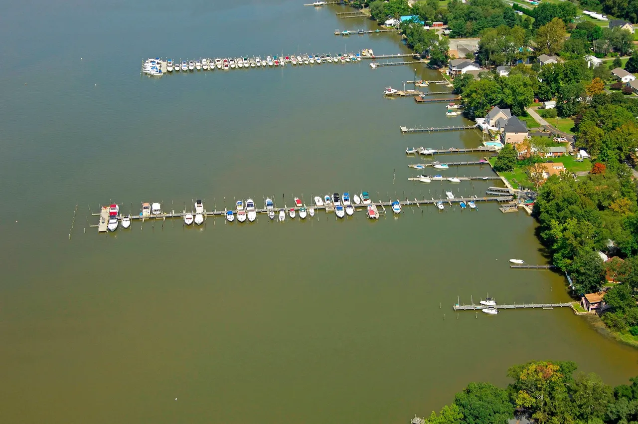 Dolphin Marina At The Cove