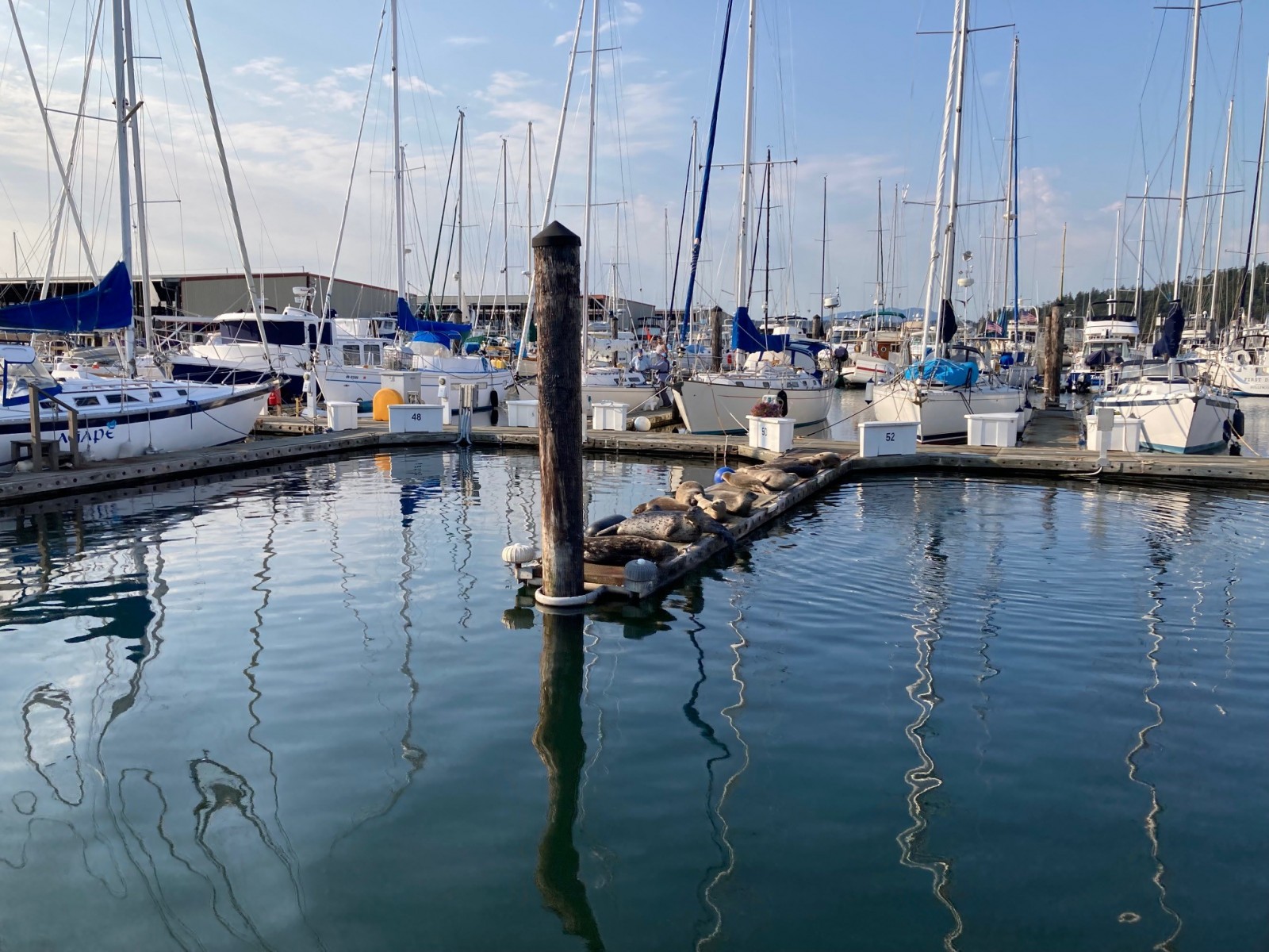 Anacortes Marina