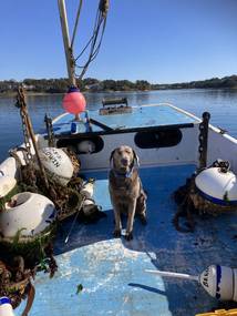 Chatham Boat Company