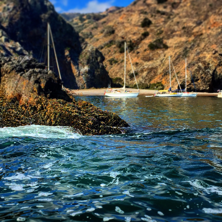 Ventura Yacht Club (Private)