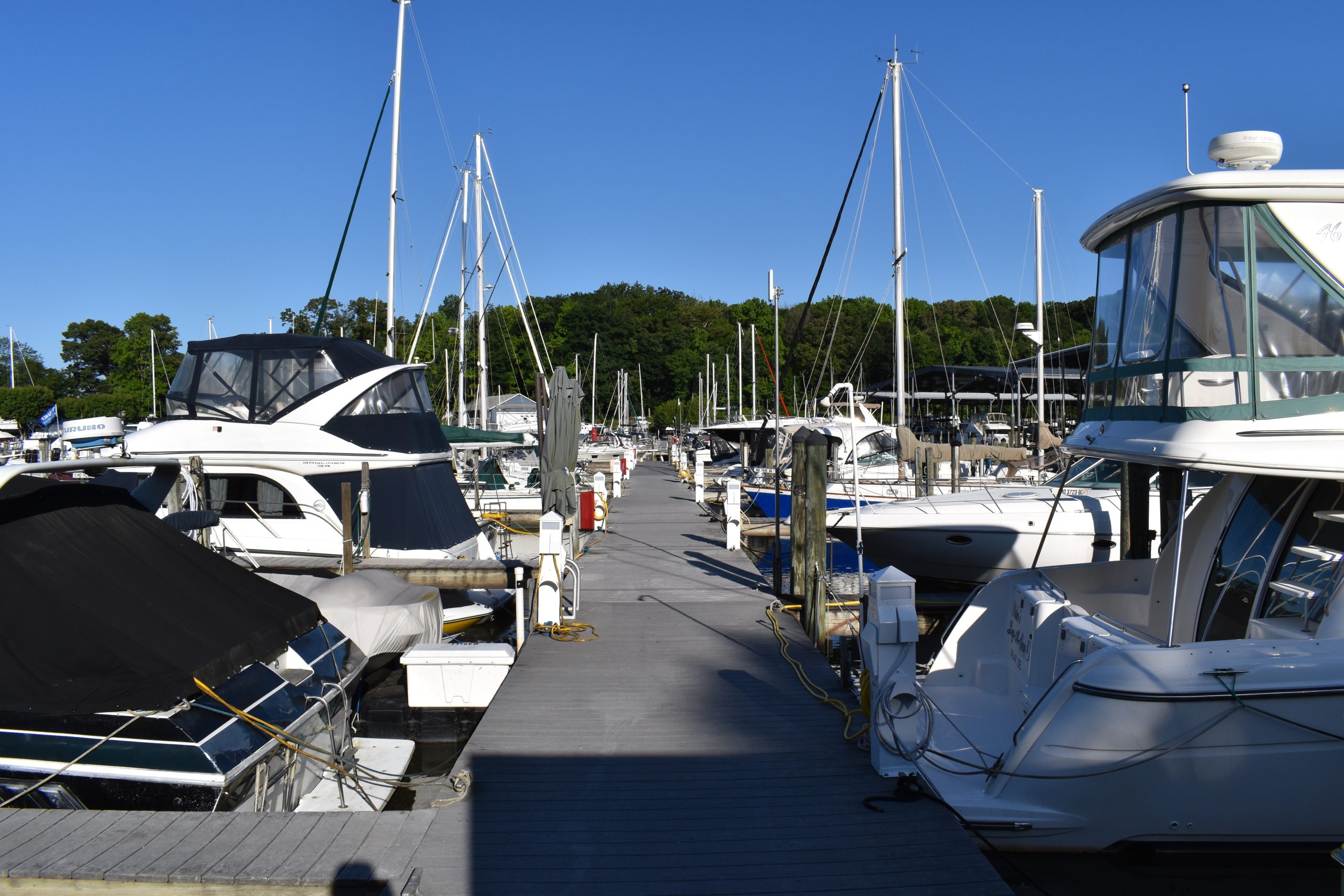 Bohemia Bay Yacht Harbour
