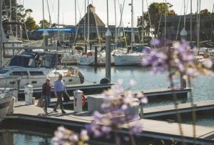 Safe Harbor Ballena Isle