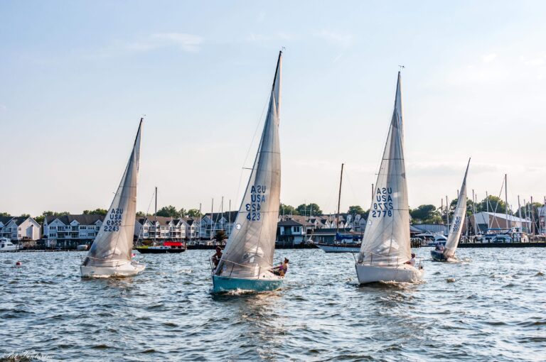 Tidewater Marina Havre De Grace Yacht Club