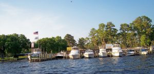 Georgetown Marina And Lodge