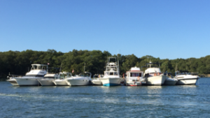 Captain's Cove Marina