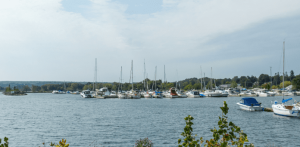 Georgian Shores Marina