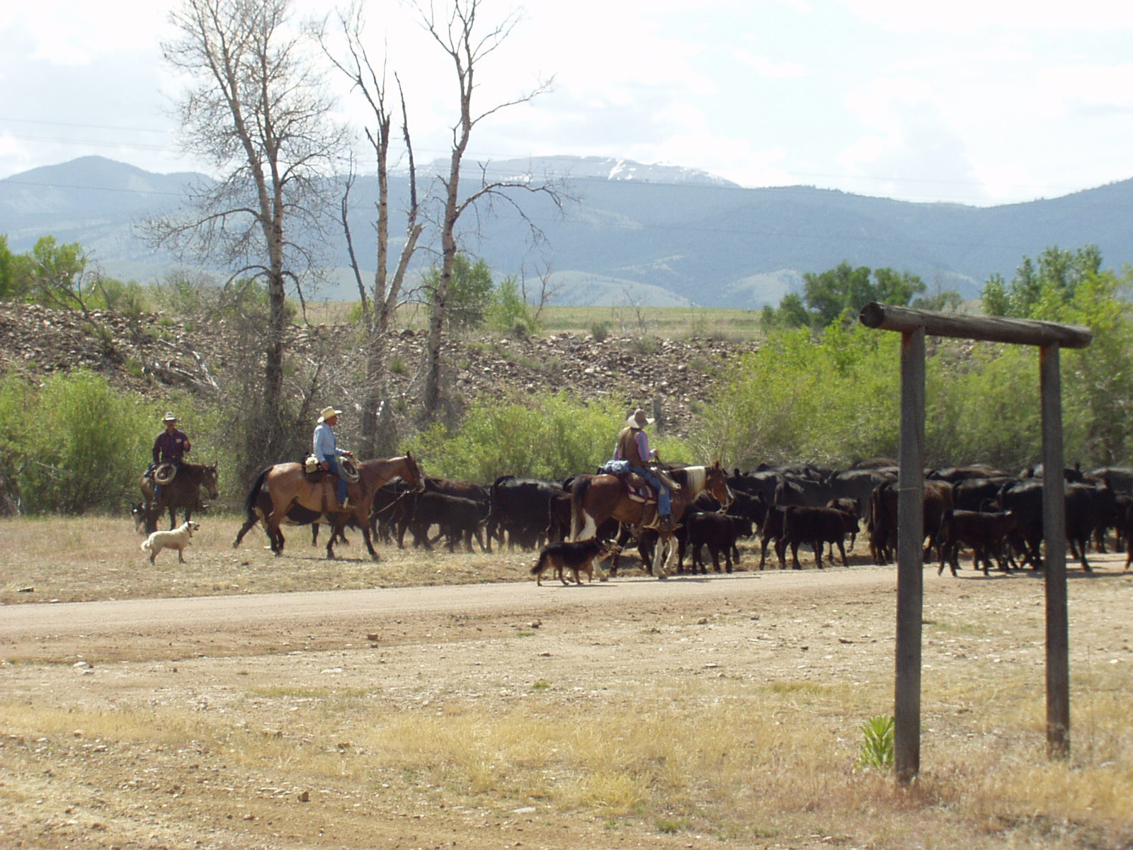Yellowstone Holiday Resort And Marina
