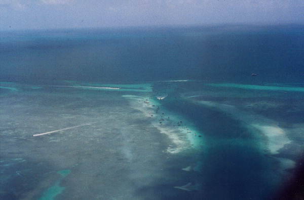 Islamorada Yacht Basin At The Lorelei