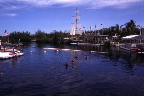 Islamorada Yacht Basin At The Lorelei