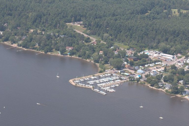 Marina D'Oka