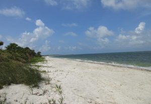 Cayo Costa State Park