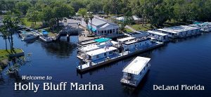 Holly Bluff Marina