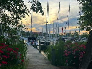 Shipwright Harbor Marina