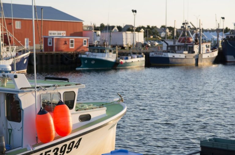 Halte Nautique Du Port De Caraquet