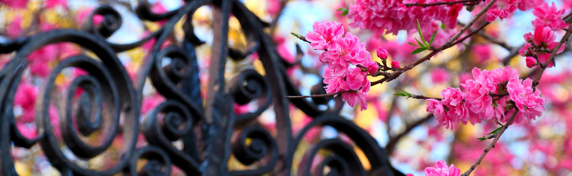 Charleston Maritime Center