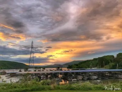 Hales Bar Marina And Resort