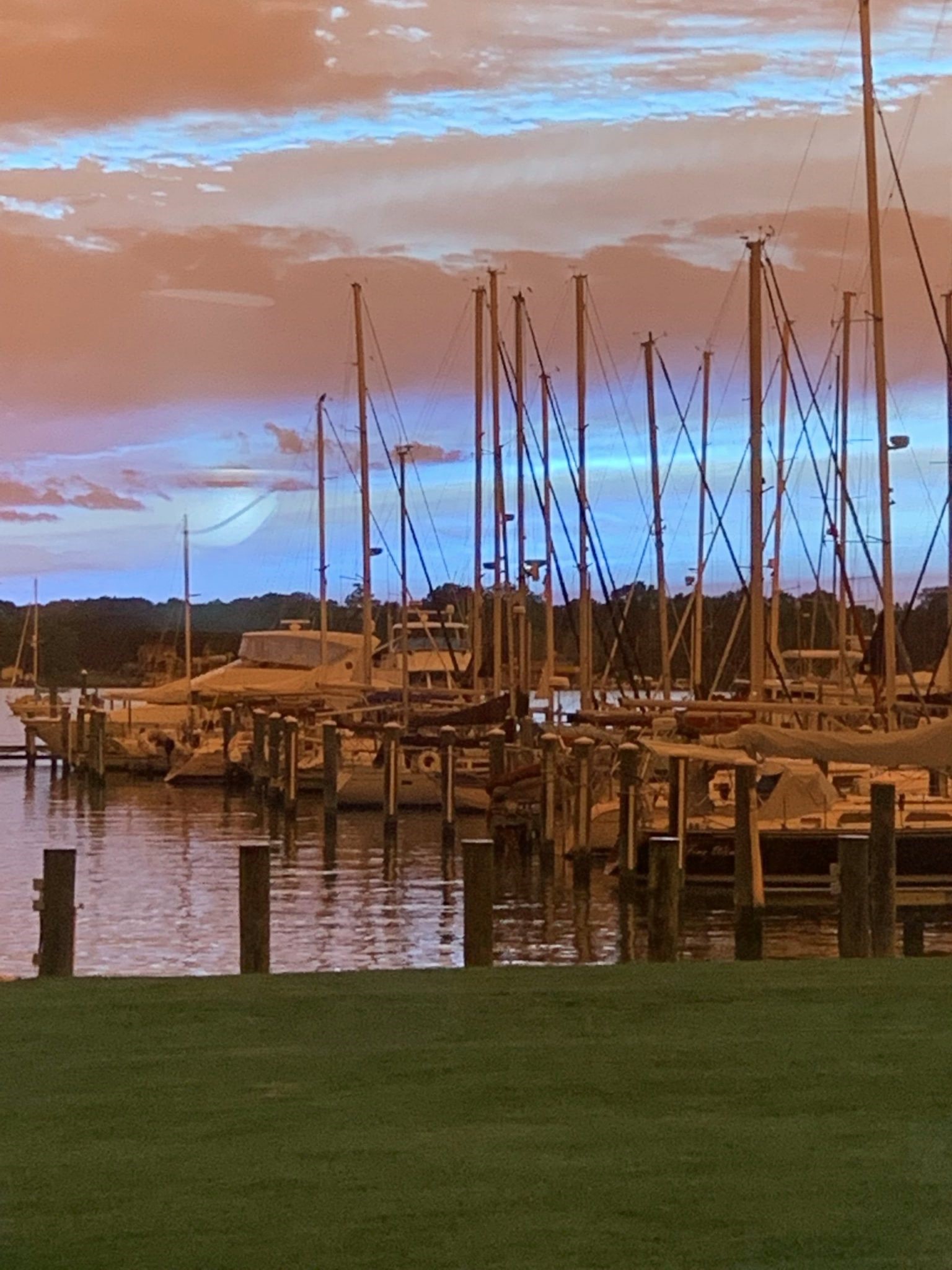 South Dock S 126