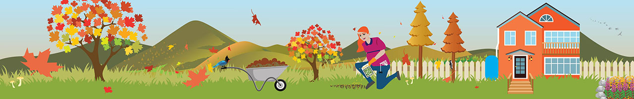 Miners Bay Public Wharf