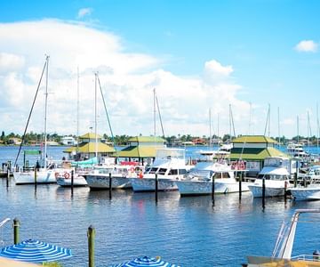 Cove Inn Hotel And Marina