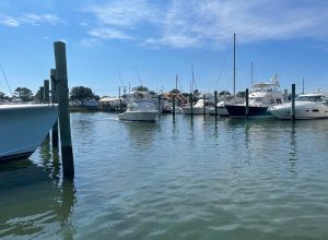 Morehead City Yacht Basin