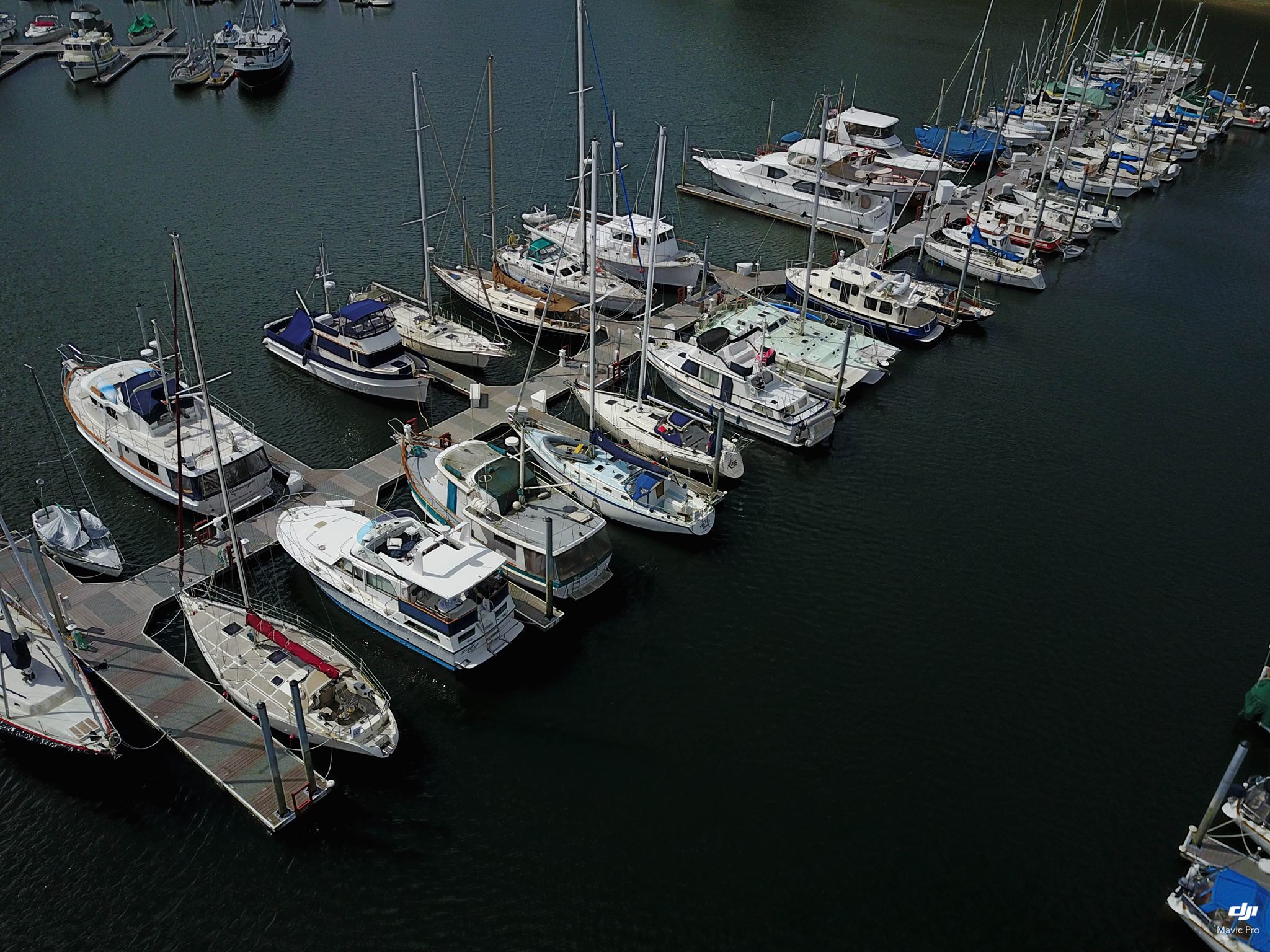 Quartermaster Yacht Club