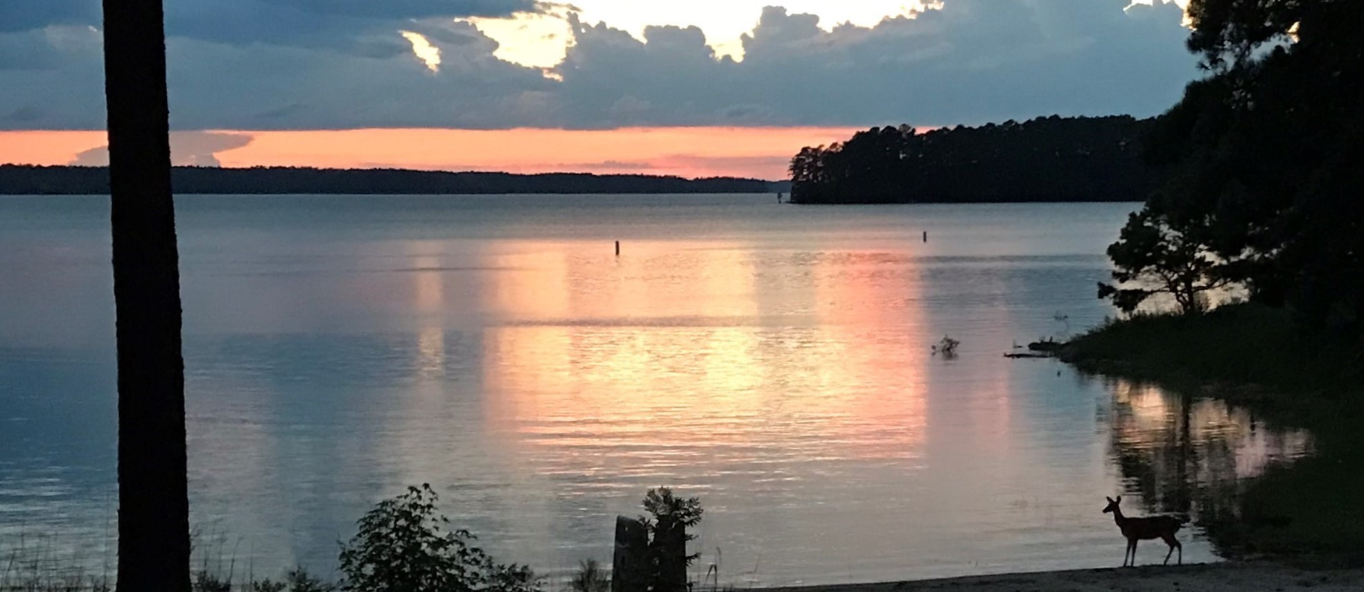 Plum Branch Yacht Club