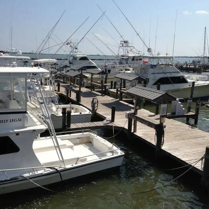 Dauphin Island Marina