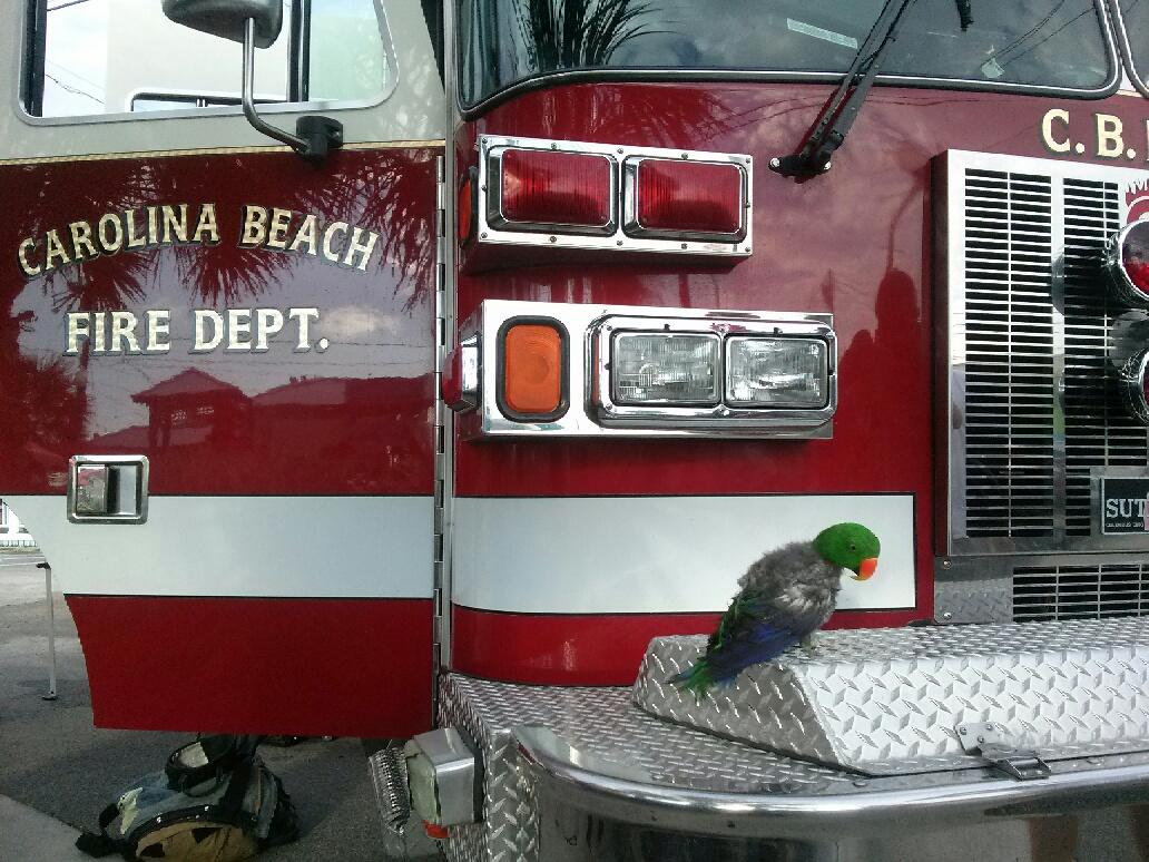 Town Of Carolina Beach Marina