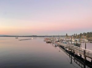 Boston Harbor Marina