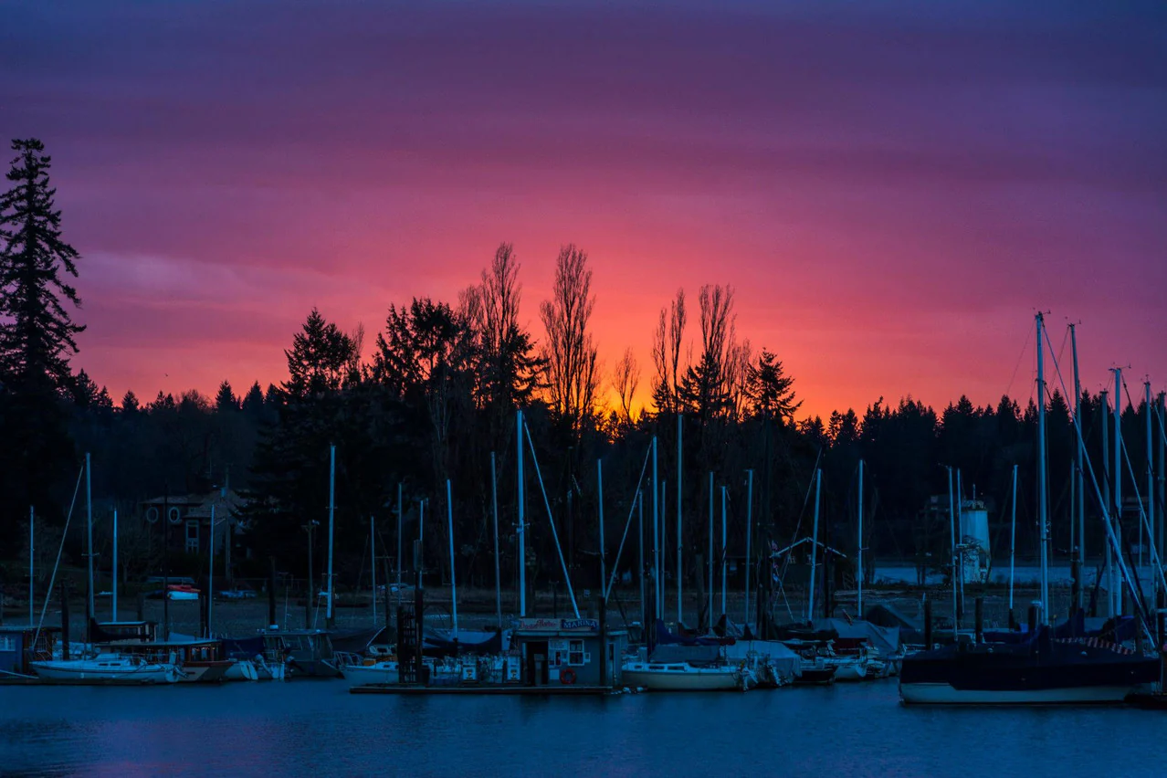 Boston Harbor Marina