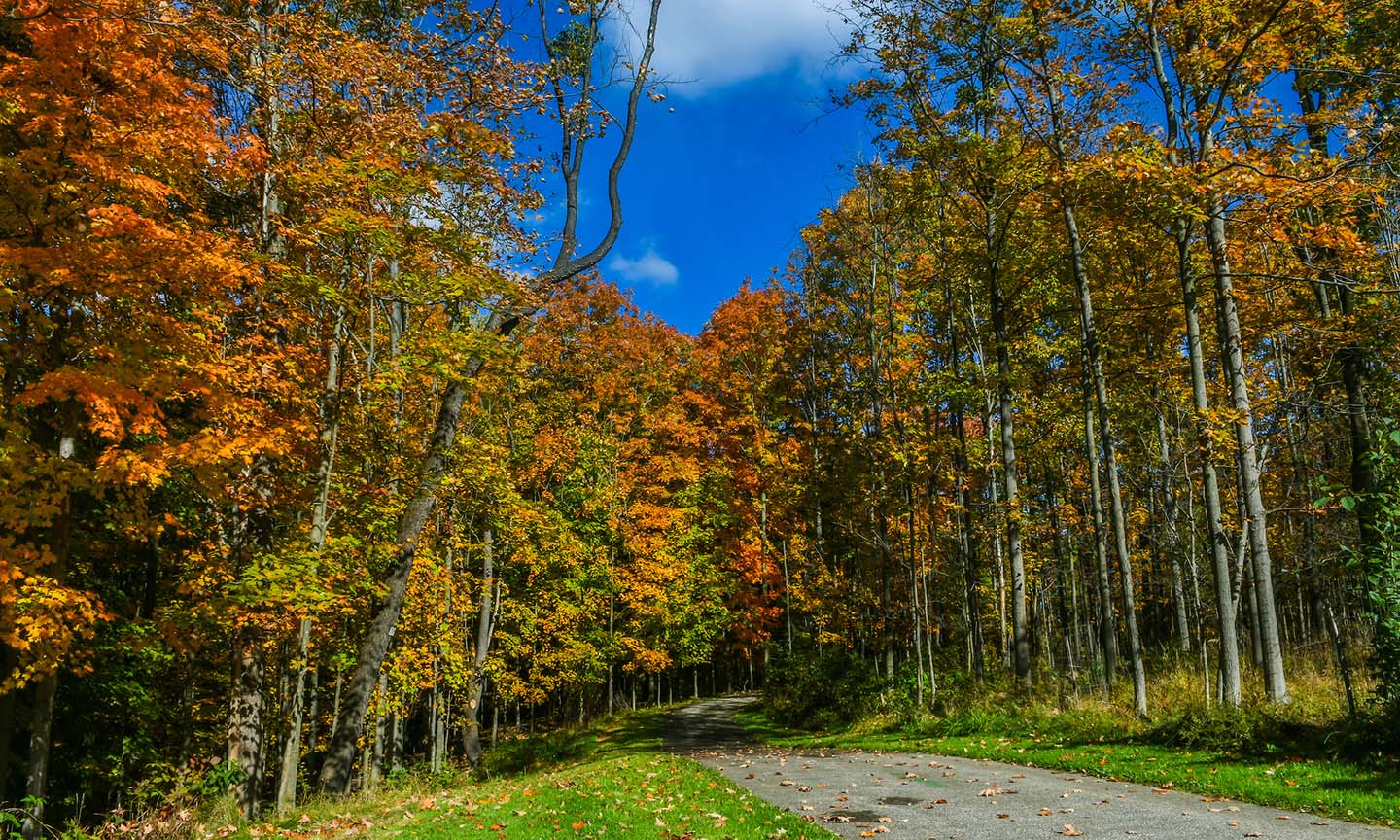 East 55Th Street Marina