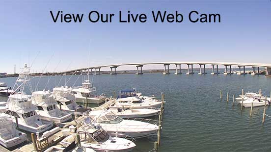 Morehead City Yacht Basin